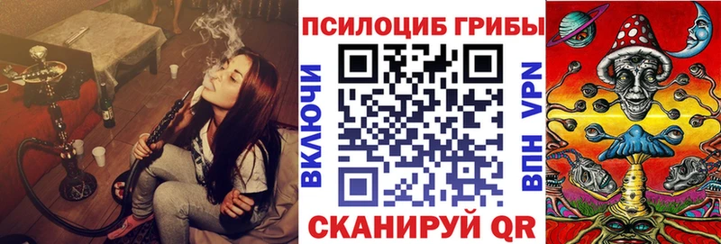 Купить где  Чудово  Псилоцибиновые грибы GOLDEN TEACHER 